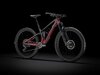 Trek Fuel EX 9.8 GX S 29 Raw Carbon/Rage Red