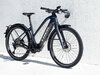 Trek Allant+ 9.9S Stagger L Dark Prismatic/Trek Black