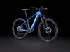 Trek Powerfly4 625w EU L 29 Gloss Alpine/Gloss Lithium