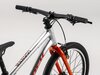 Trek Wahoo 20 20 Quicksilver/Roarange