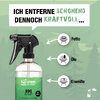 Bio-Chem BBQ Cleaner 750 ml mit Sprühkopf 