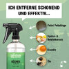 Bio-Chem Küchenreiniger 750 ml mit Sprühkopf 